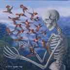 death and hummingbirds lr jpg cr